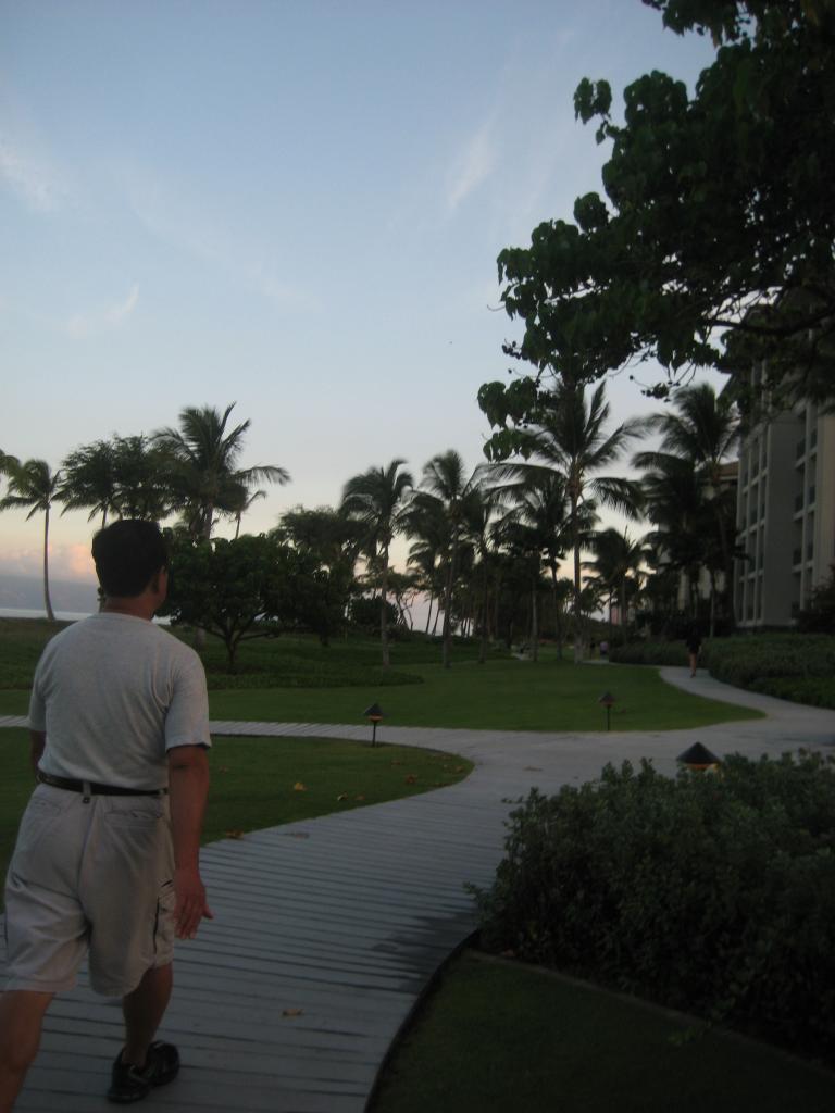 Hawaii 422.JPG