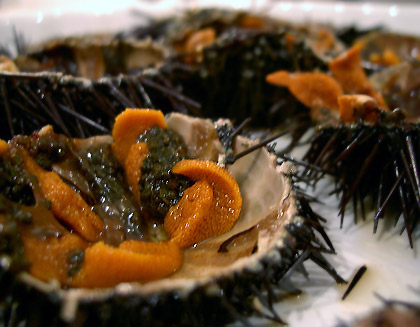 image_752273.jpg