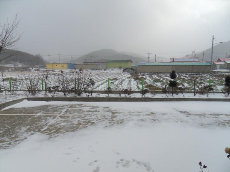 SDC11010.JPG