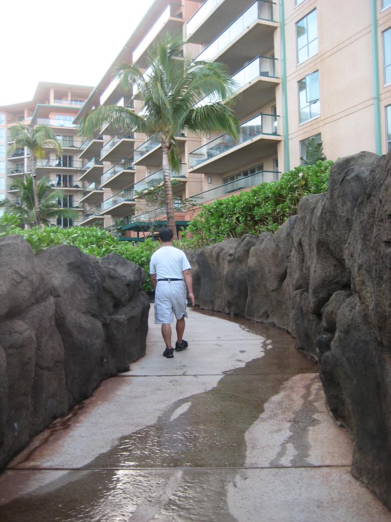 Hawaii 429.JPG