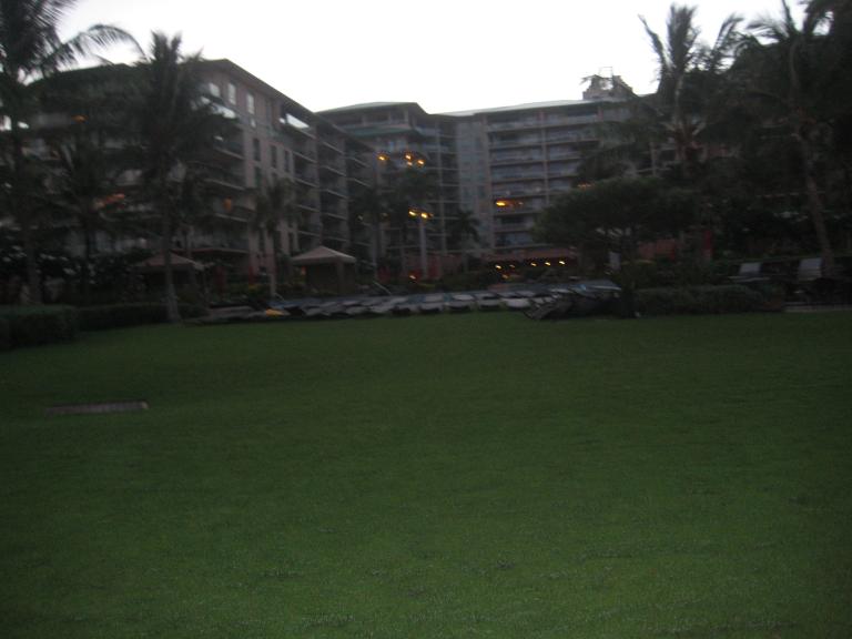 Hawaii 450.JPG