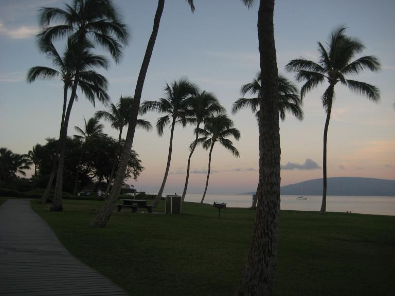 Hawaii 453.JPG