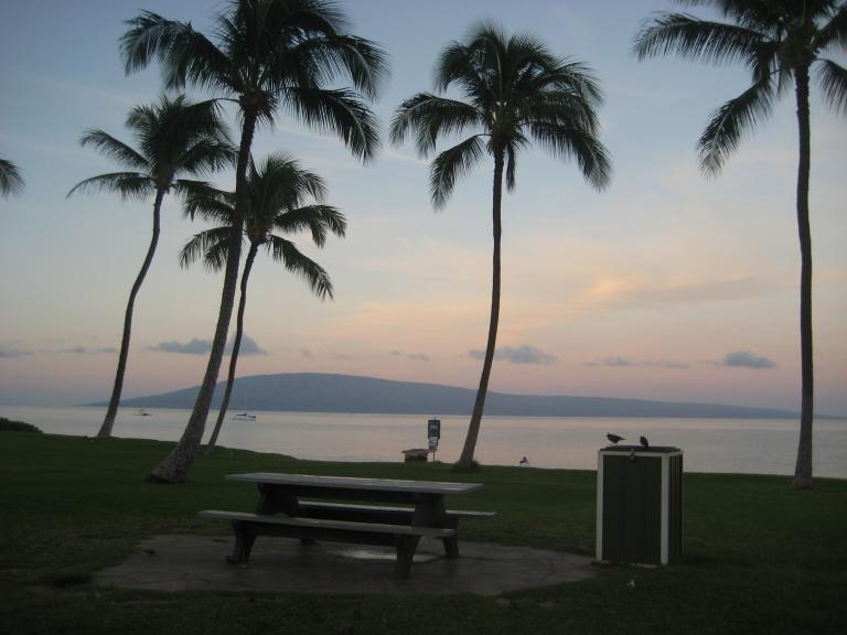 Hawaii 454.JPG