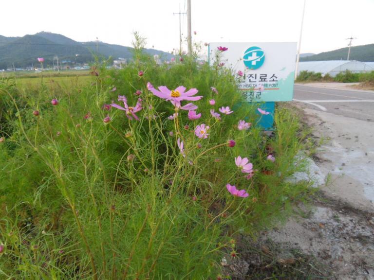 SDC10424.JPG