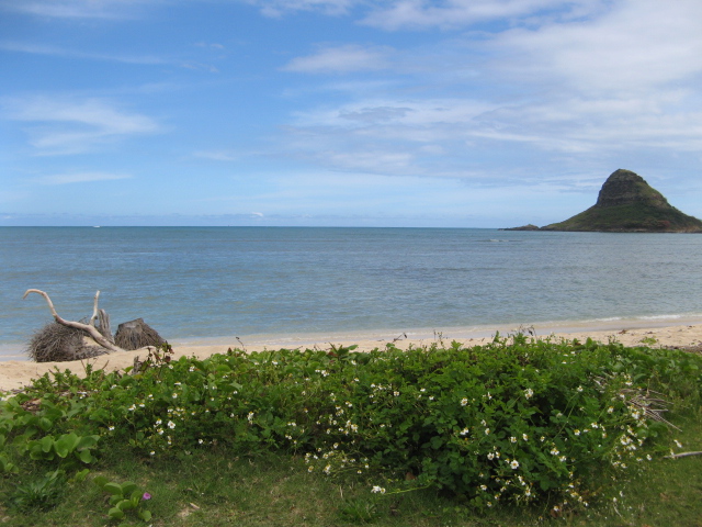 hawaii 111.jpg