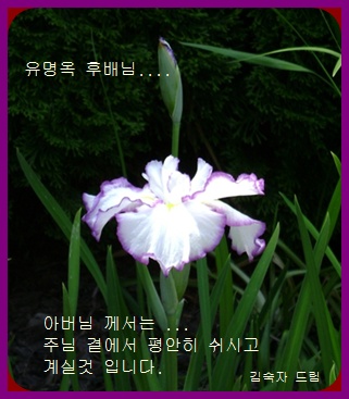 a-c-DSC00840.JPG