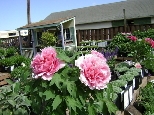 b-DSC03725.JPG
