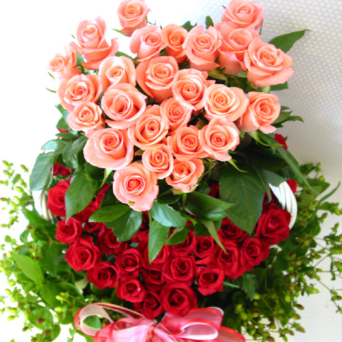 Red_&_Pink_Heart_Rose.jpg
