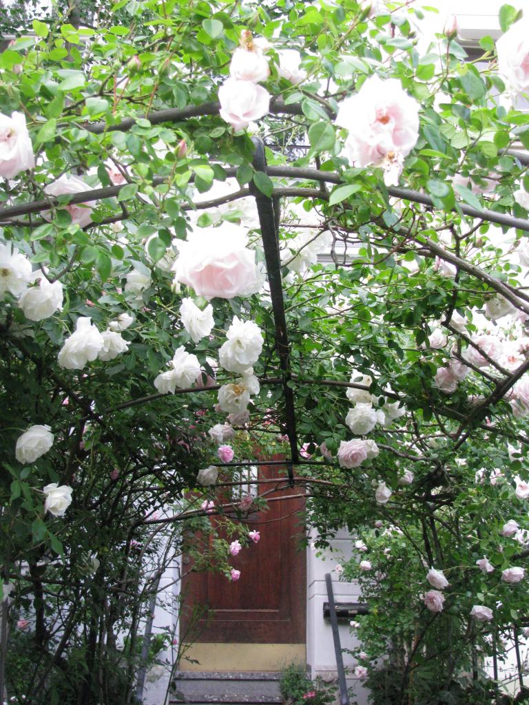 bonn,보름달 089.jpg