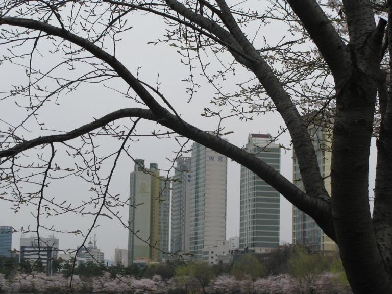 잠실 008.jpg