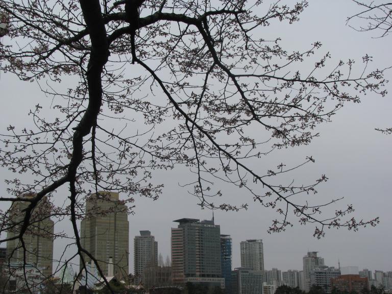 잠실 017.jpg