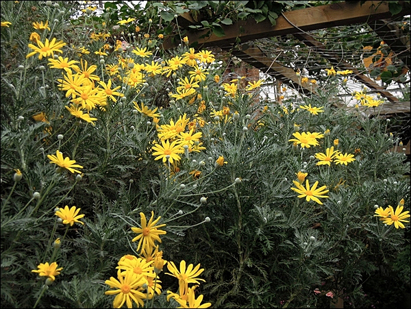 DSCN0957.JPG