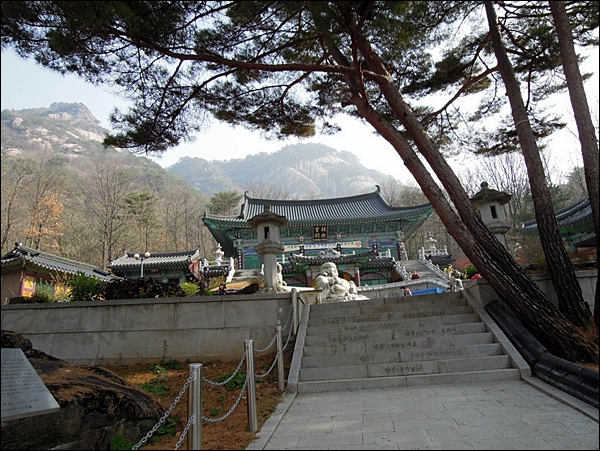 DSCN0974.JPG