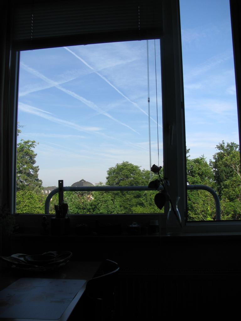 bonn,보름달 390.jpg