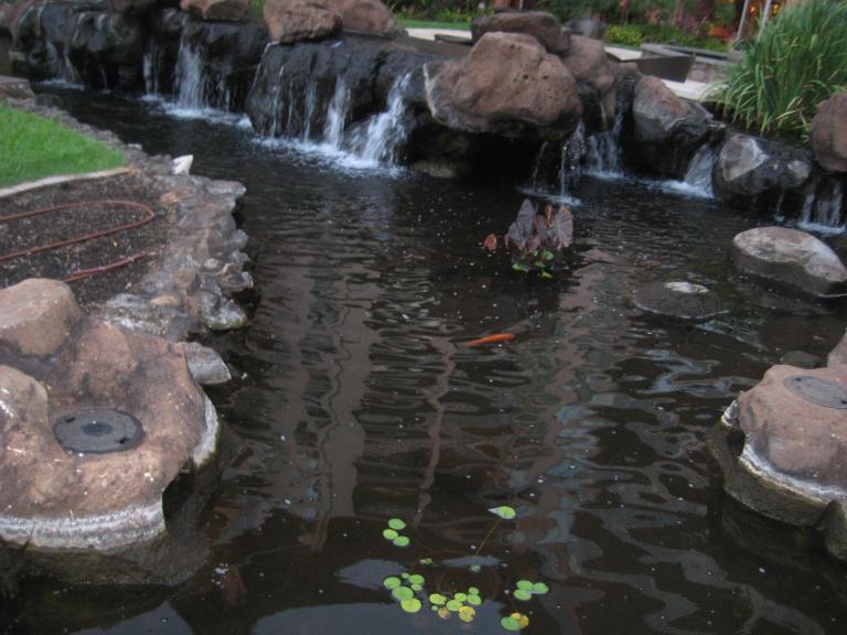 Hawaii 073.JPG