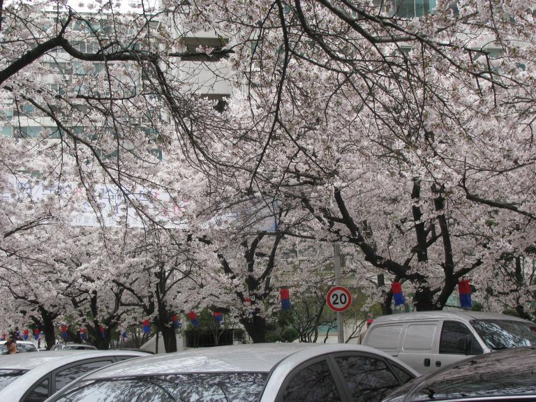 잠실 043.jpg