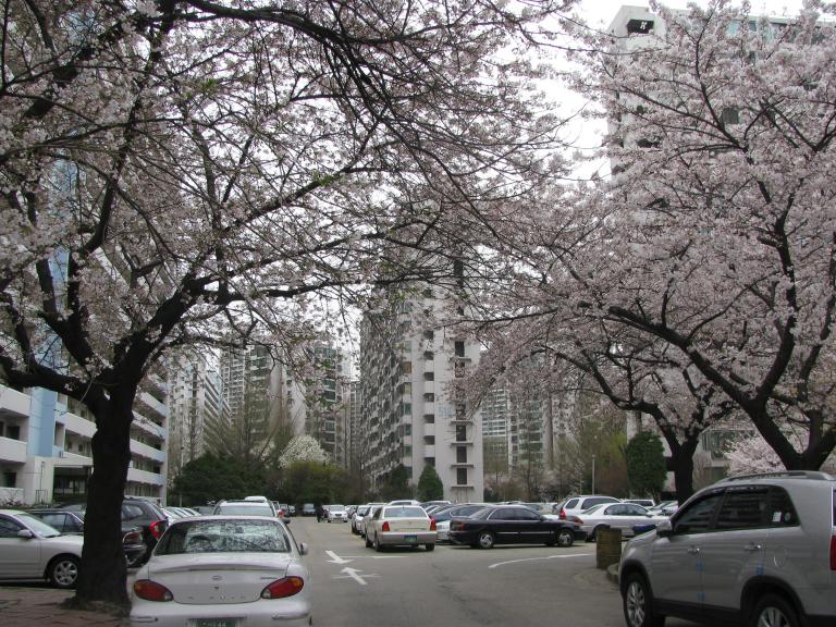 잠실 048.jpg