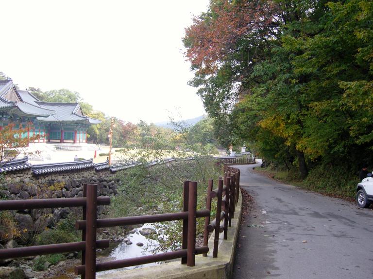 SNC10332.JPG