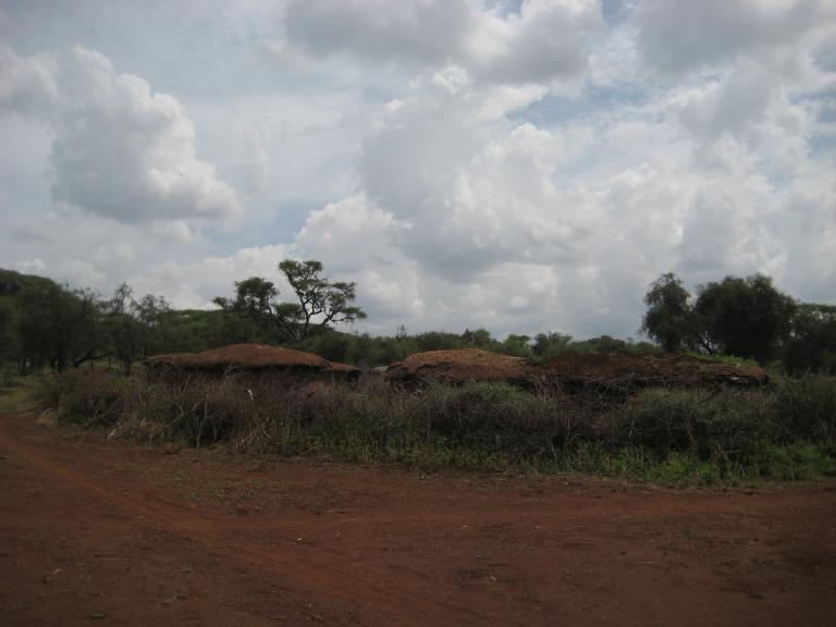 Africa 1 219.JPG