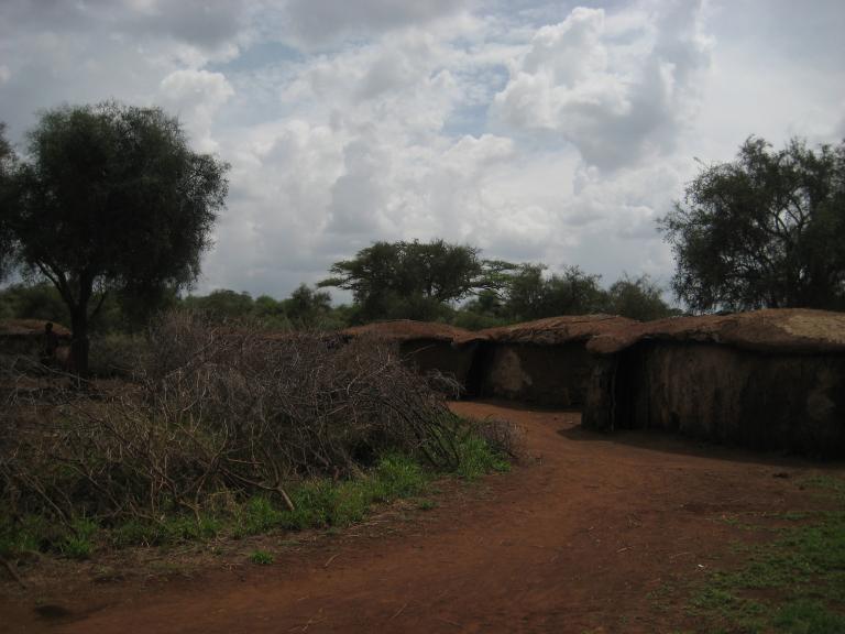 Africa 1 221.JPG