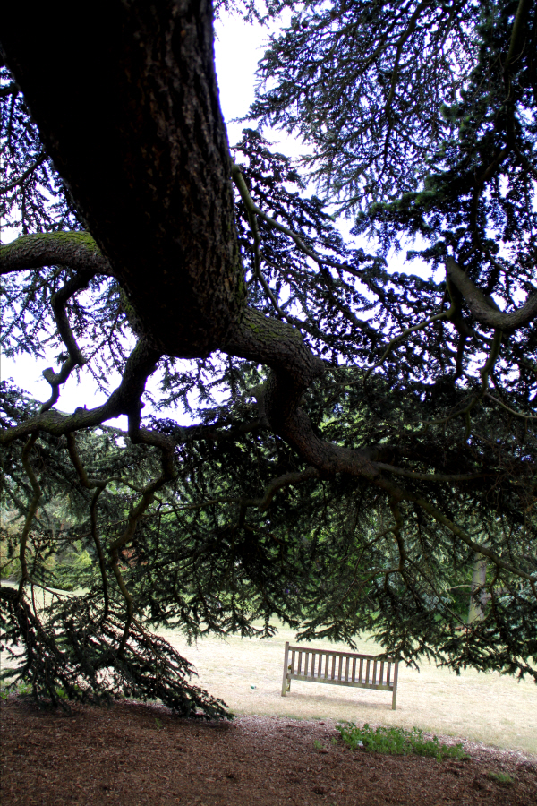 kew_garden_bench 6.JPG