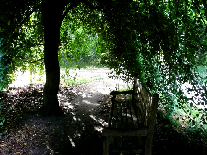 kew_garden_bench2.JPG