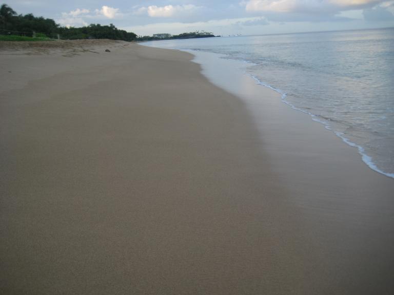 Hawaii 081.JPG