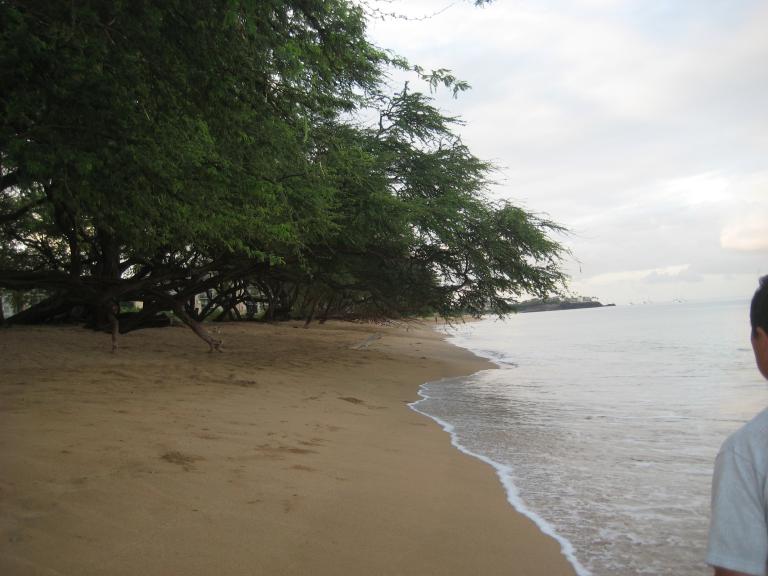 Hawaii 089.JPG
