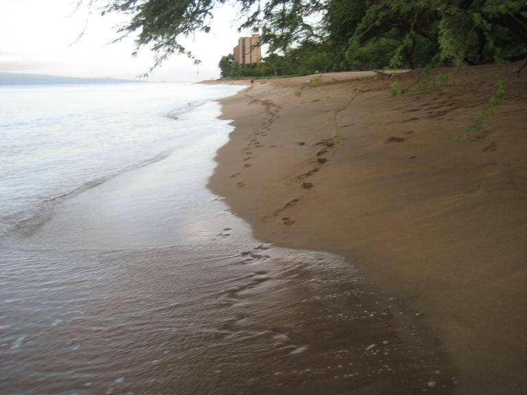 Hawaii 092.JPG