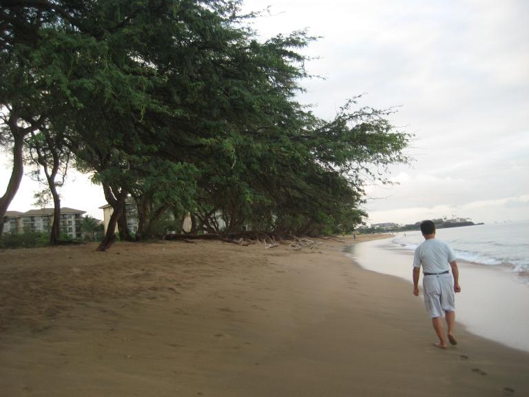 Hawaii 093.JPG