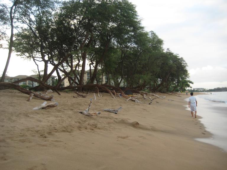 Hawaii 095.JPG