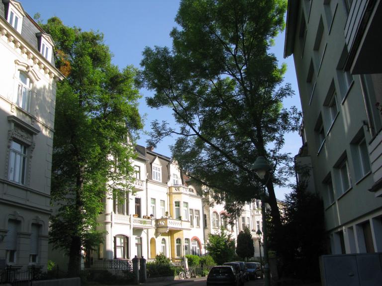 bonn,보름달 023.jpg