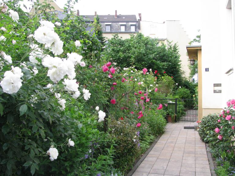 bonn,보름달 084.jpg