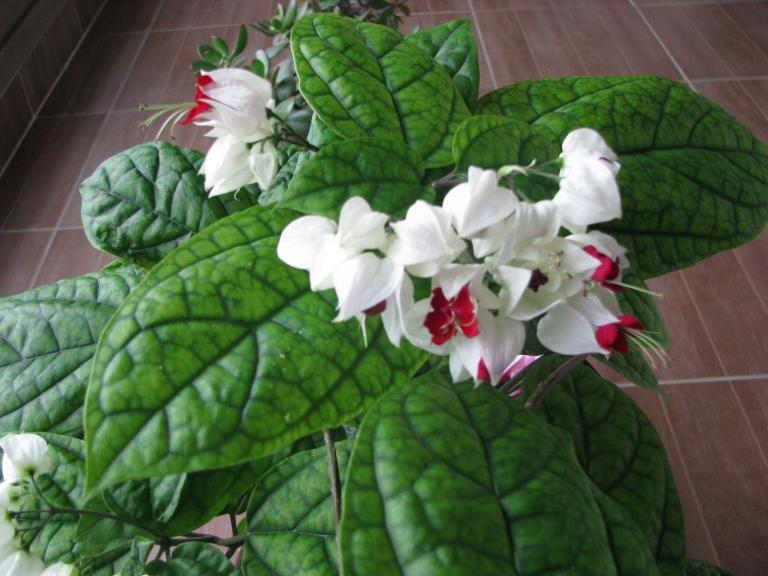 2010년3,4월 106.jpg