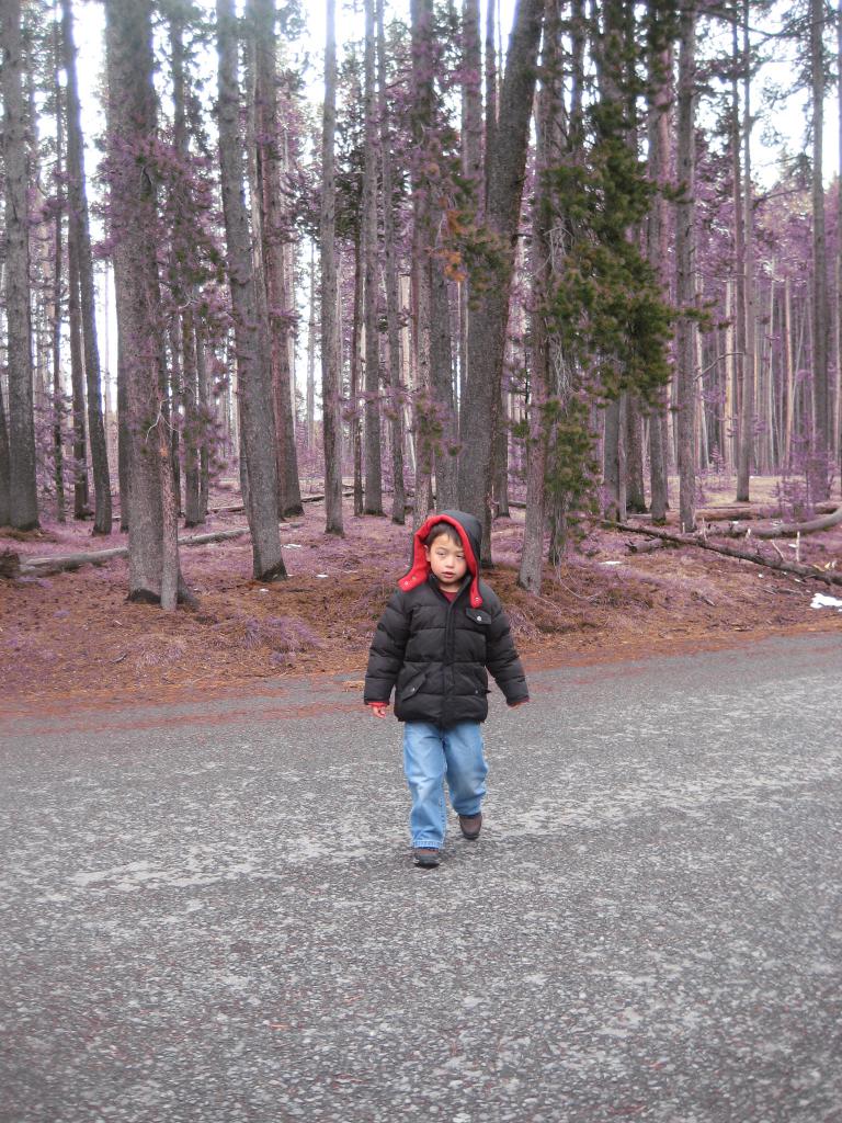 Yellowstone 701.JPG