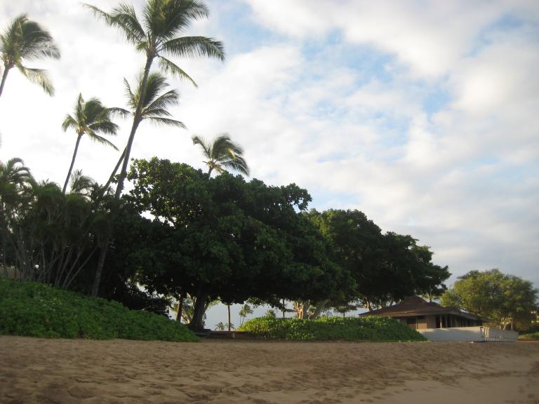 Hawaii 112.JPG