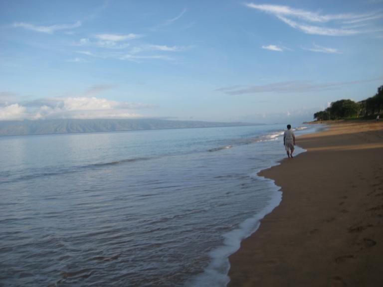 Hawaii 132.JPG