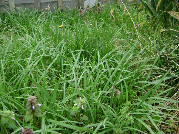 f-DSC02993.JPG