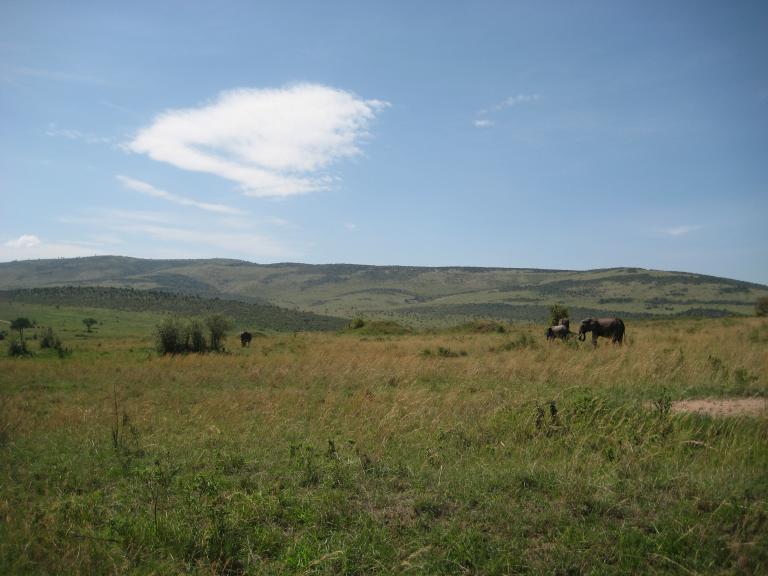 Africa 005.JPG