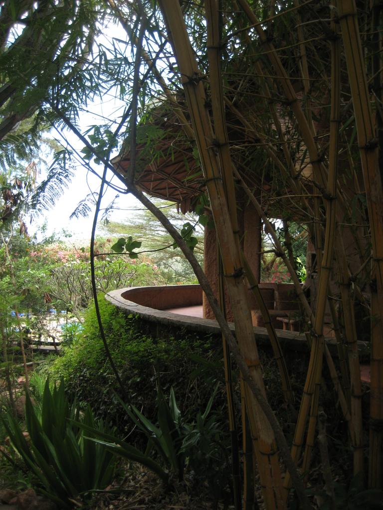 Africa 012.JPG