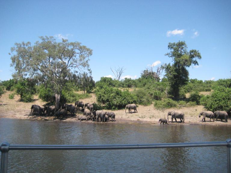 Africa 421.JPG