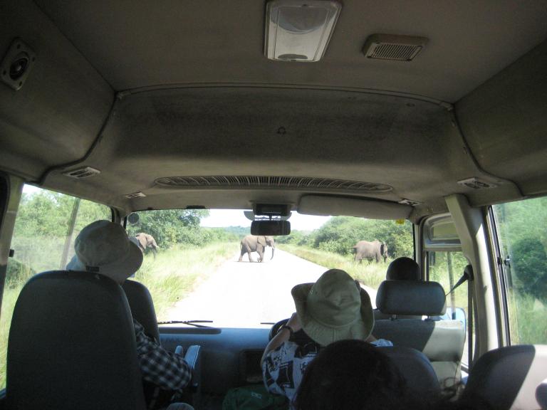 Africa 443.JPG