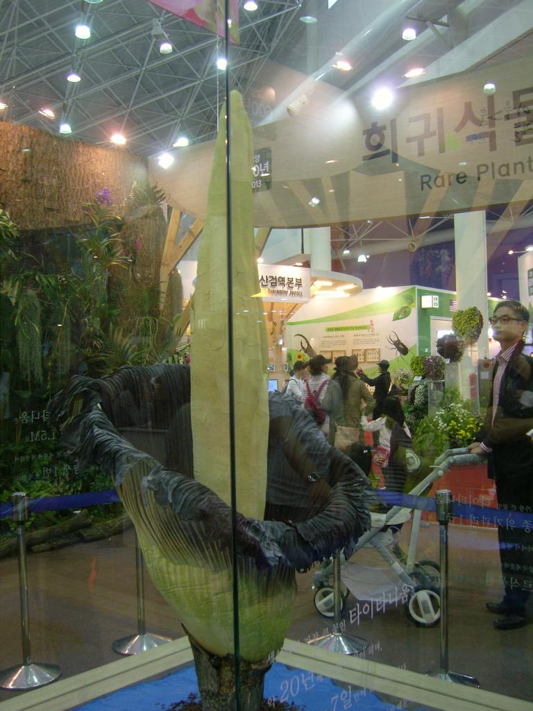 SNC14749.JPG