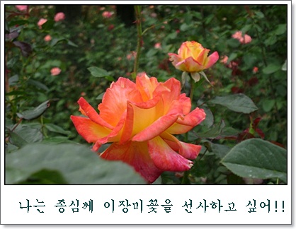 bb-DSC01544.JPG