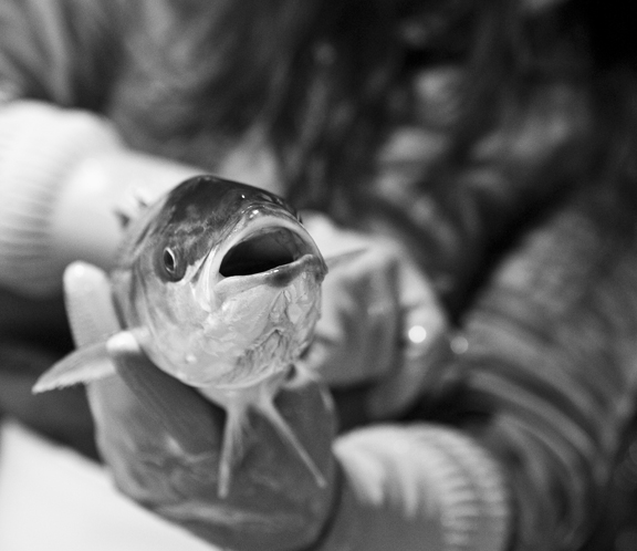 fish lady0125109_72.jpg