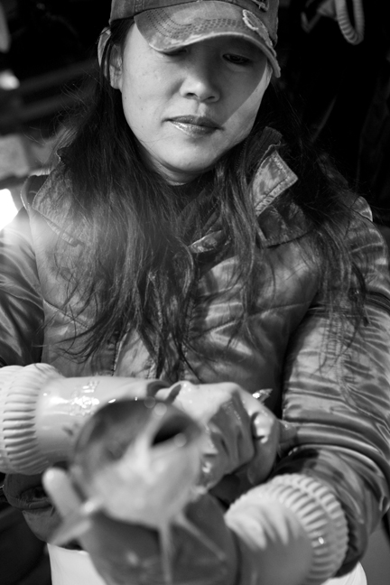 fish lady_012510_72.jpg