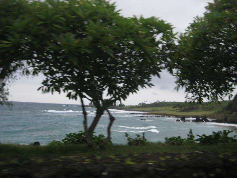 Hawaii 301.JPG