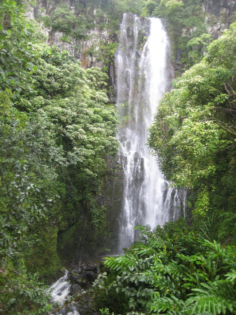 Hawaii 315.JPG