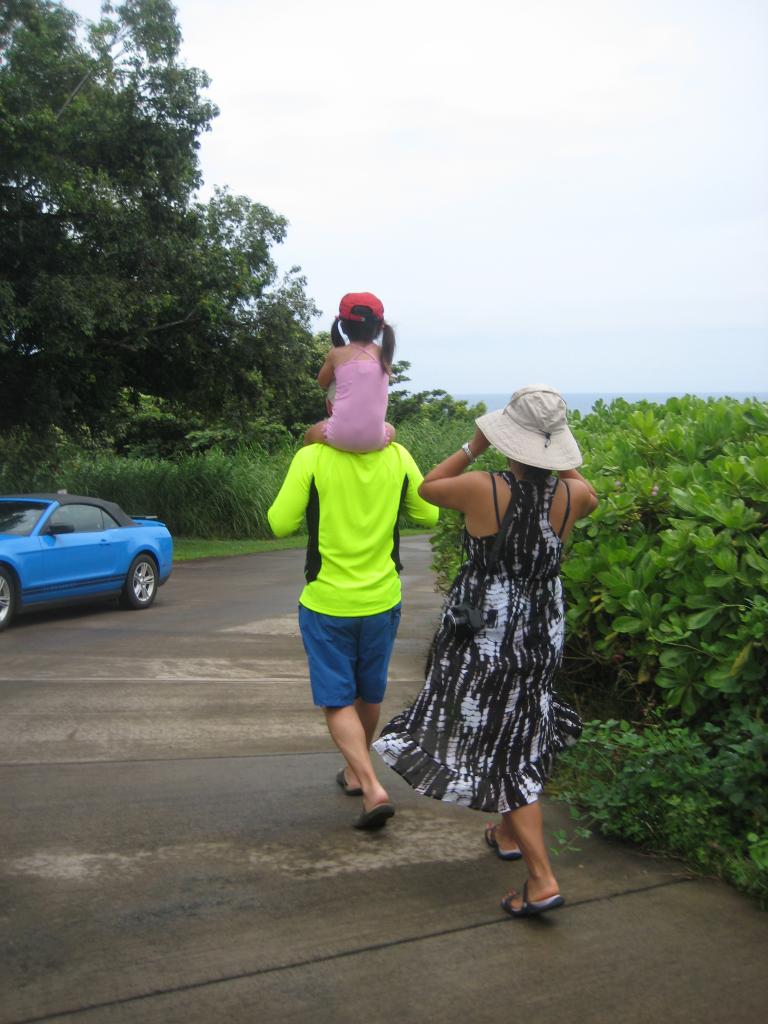 Hawaii 318.JPG