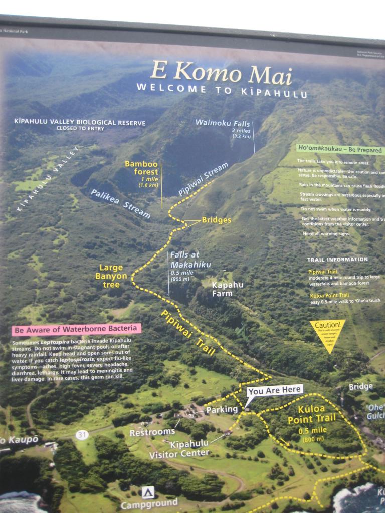 Hawaii 321.JPG